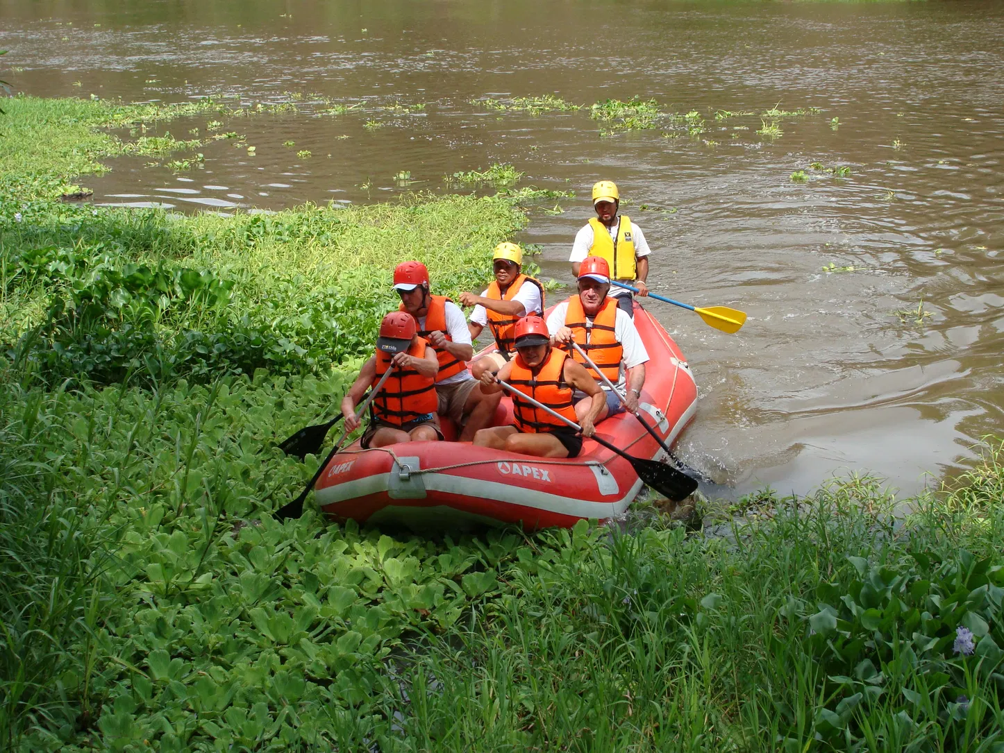 Immerse yourself in the verdant beauty of Guanacaste on this serene 2-hour Safari Float down the Corobicí or Tenorio River (depending on water levels), where