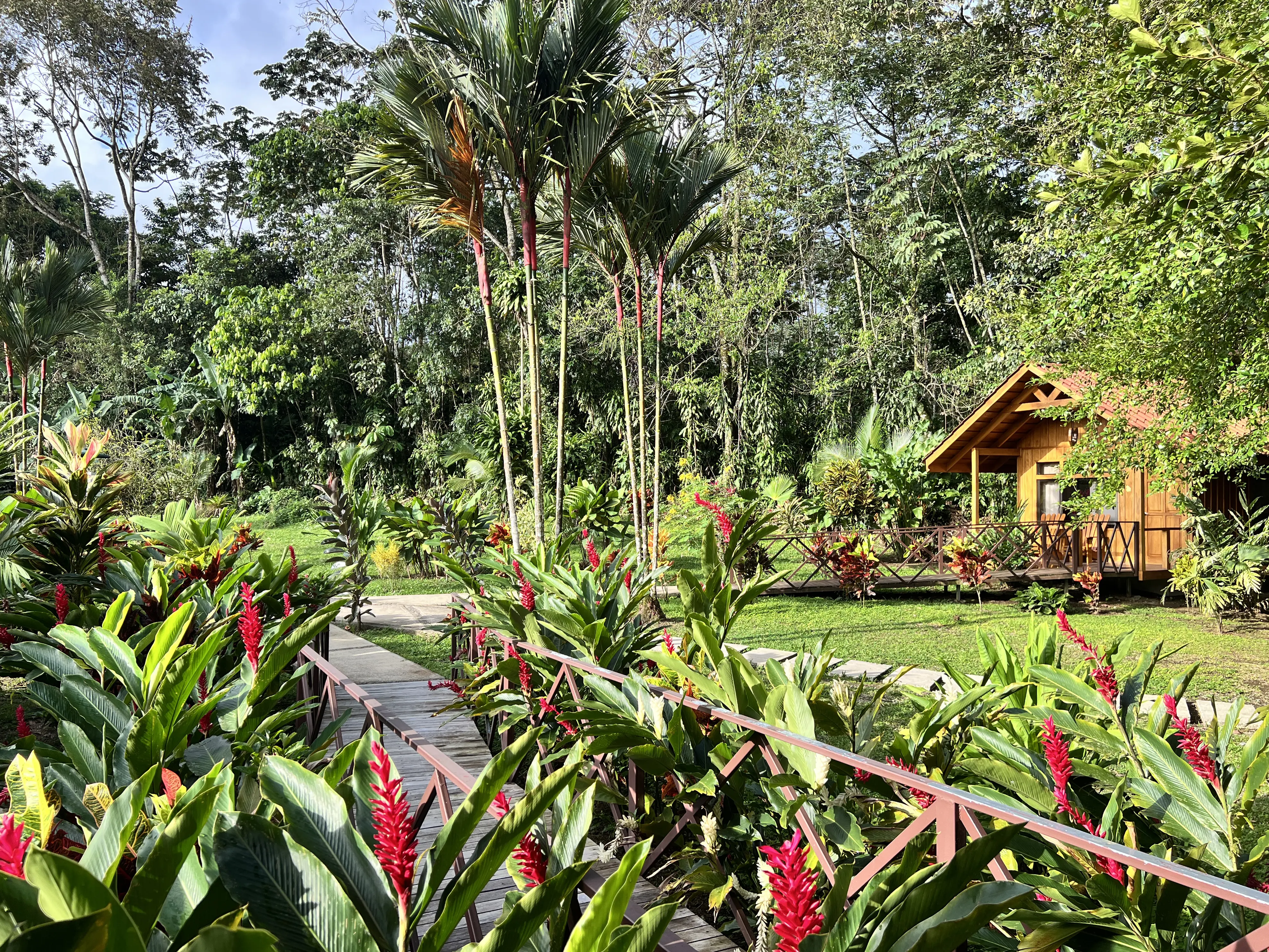 Natural Green Lodge is a tranquil rainforest retreat in La Fortuna, offering a peaceful, nature-immersed experience with the convenience of being close to the area's